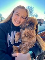 The image shows a person with long blonde hair, smiling and holding a small, fluffy dog. The person is wearing a dark sweatshirt with large white letters. The dog has a brown and tan coat and is being held in an upright position. The background features a bright, sunny day with clear blue skies and bare trees.